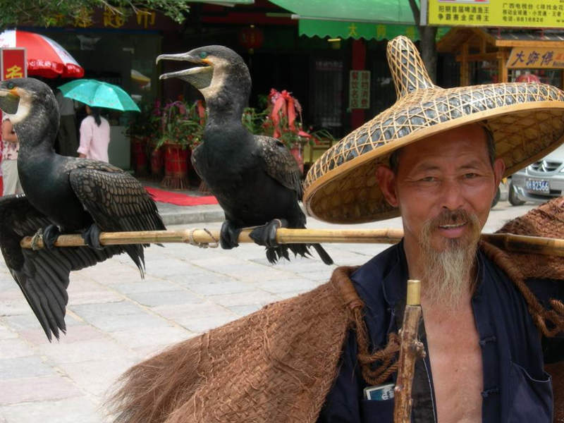 תושב מקומי סיני נושא ציפורים